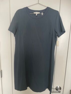 Lark & Ro Short Sleeve Crewneck Mini Dress in Slate Blue